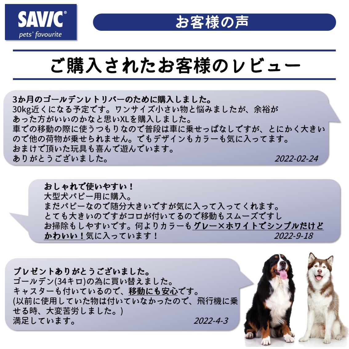 SAVIC (セイヴィック) Andes アンデス XLサイズ 【L100】 | Dog