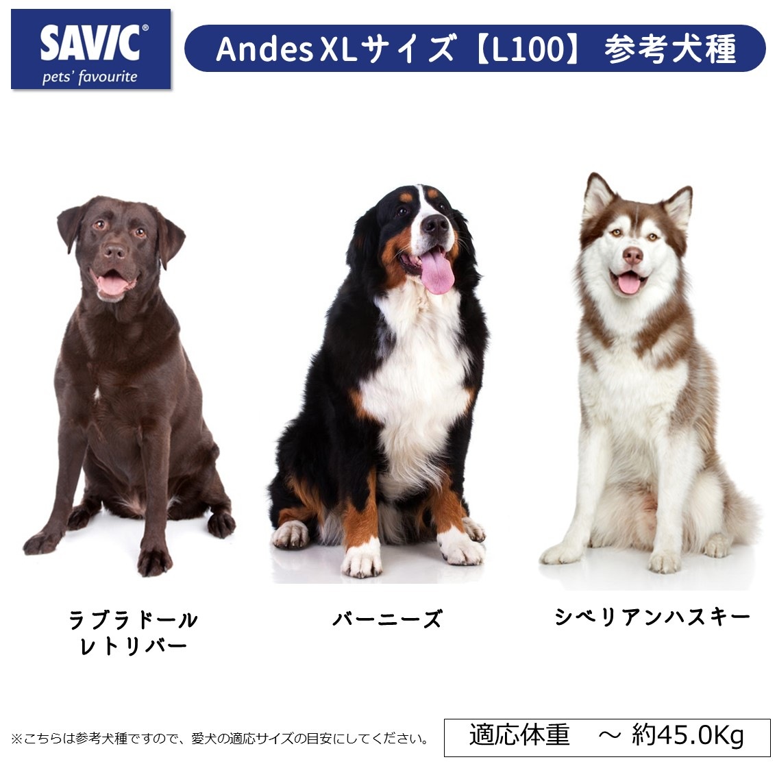 SAVIC (セイヴィック) Andes アンデス XLサイズ 【L100】 | Dog