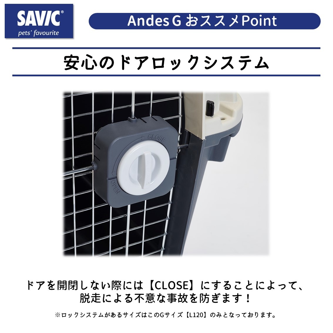 SAVIC (セイヴィック) Andes アンデス ジャイアントサイズ