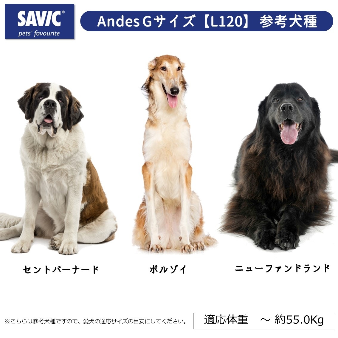 新品　大型犬　SAVIC　アンデス6　クレート freebirdcorp_sv3309