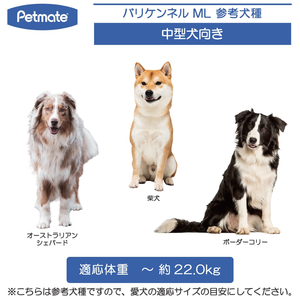 バリケンネル MLサイズ | Dog,クレート・キャリー,中型犬用 | FREE