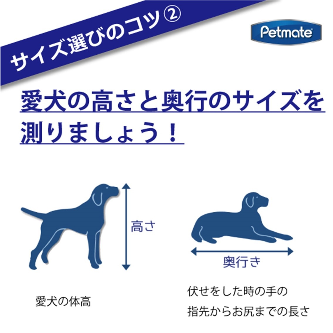 Petmate スカイケンネル Lサイズ | Dog,クレート・キャリー,大型犬用