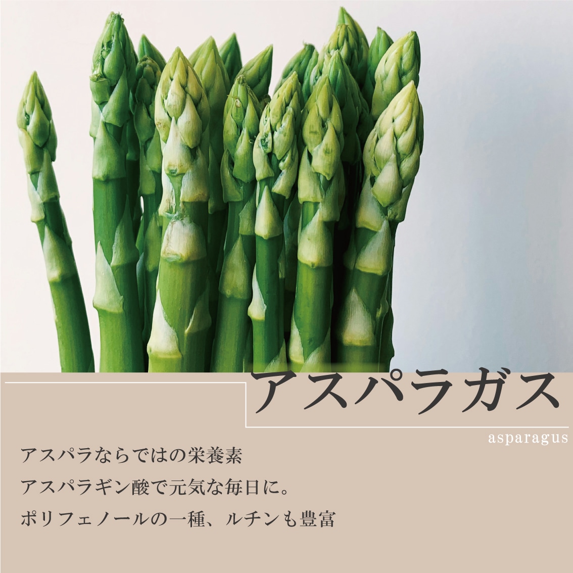 アスパラ様 リクエスト 2点 まとめ商品 アスパラ様 リクエスト 2点 まとめ商品 まとめ売り