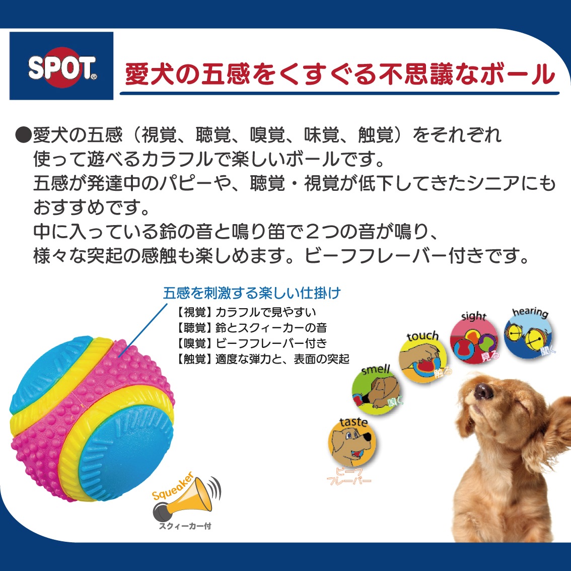 センサリーボール | Dog,犬おもちゃ,ボール | FREE BIRD (フリーバード)
