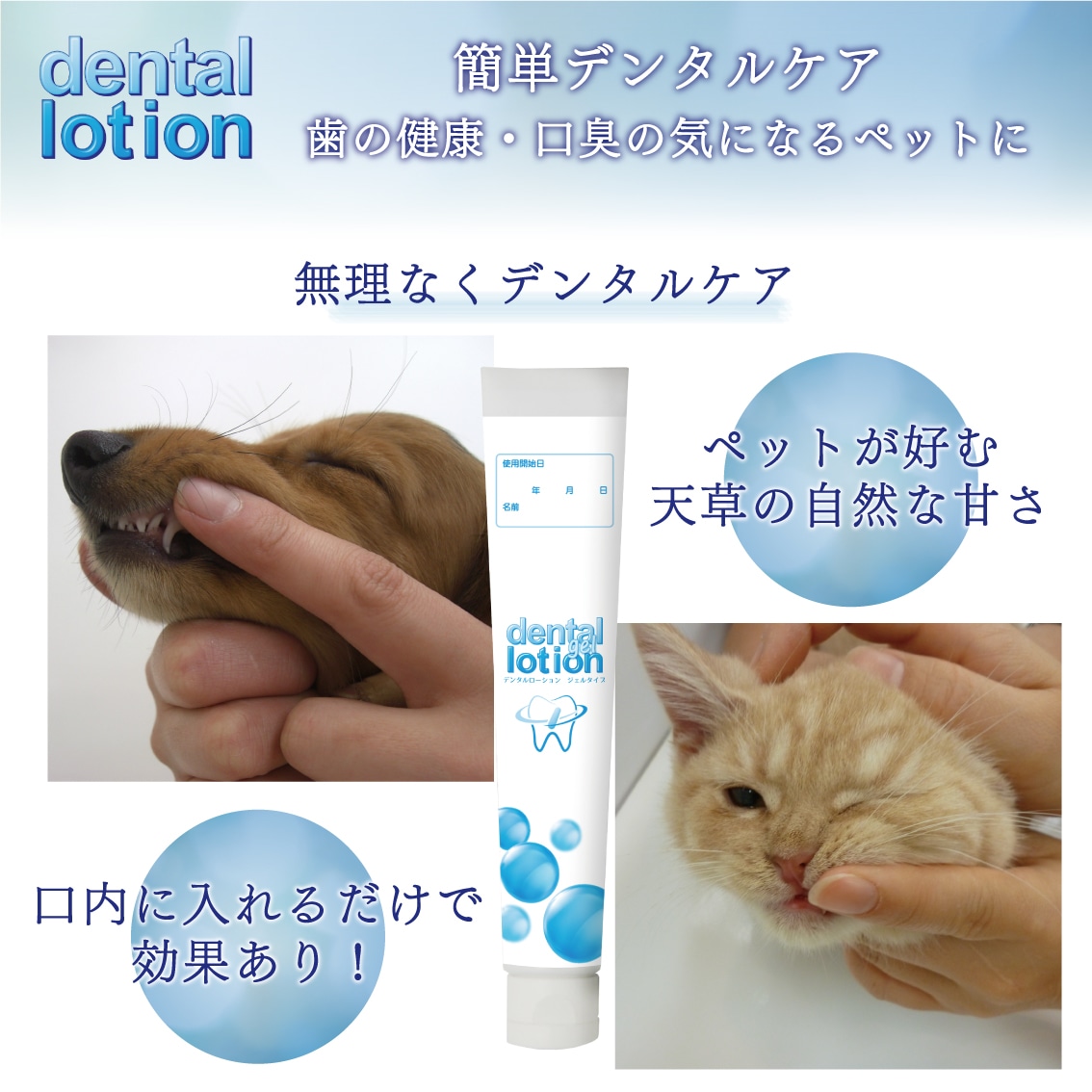 コスモスラクト デンタルローション ジェルタイプ 55g | Dog,お手入れ