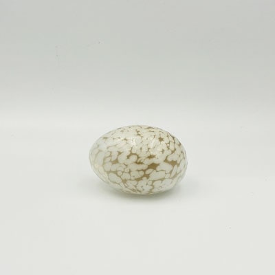 オイバトイッカ　アップル　グリーン　箱無し オイバトイッカ アップル グリーン 箱無し - メルカリ