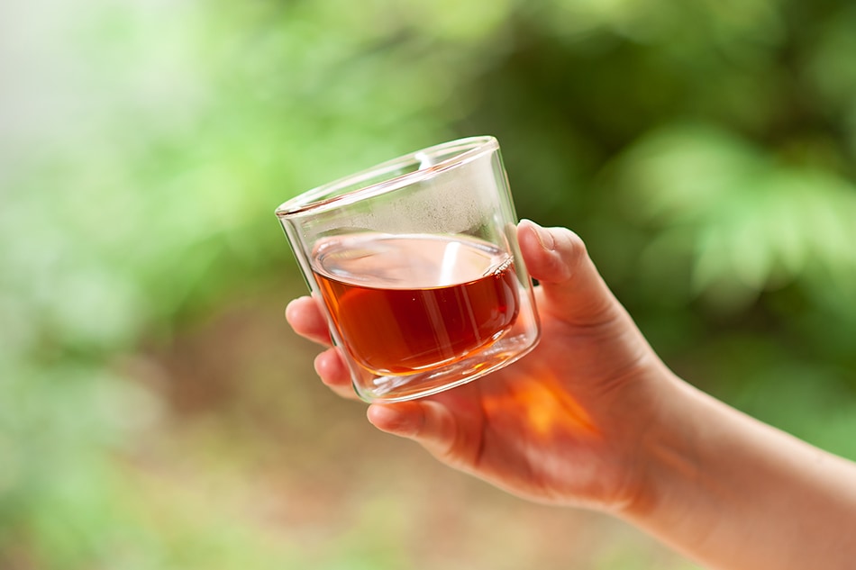 LT カップ ストレーナー付 260ml（キントー／KINTO）