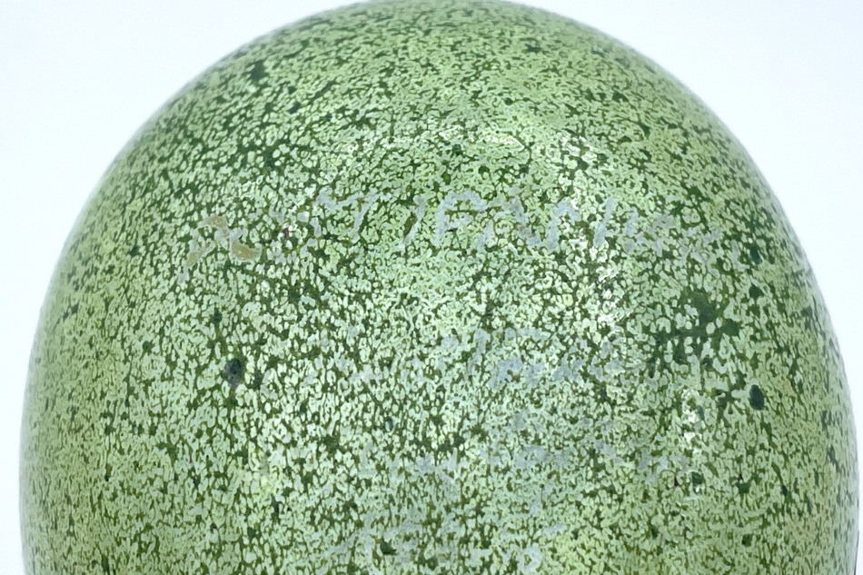 【ヴィンテージ】60 Quail グリーン