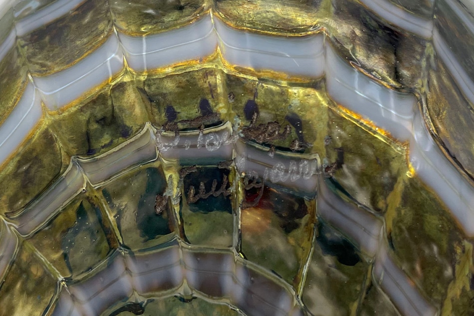 【ヴィンテージ】14 Palvipyy/HAZEL GROUSE グリーン