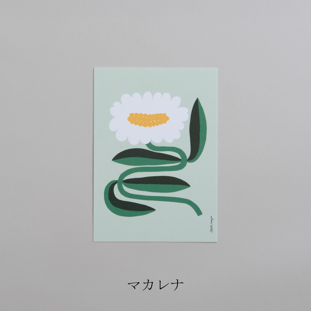 ポストカード（ロッタ・マイヤ／Lotta Maija）