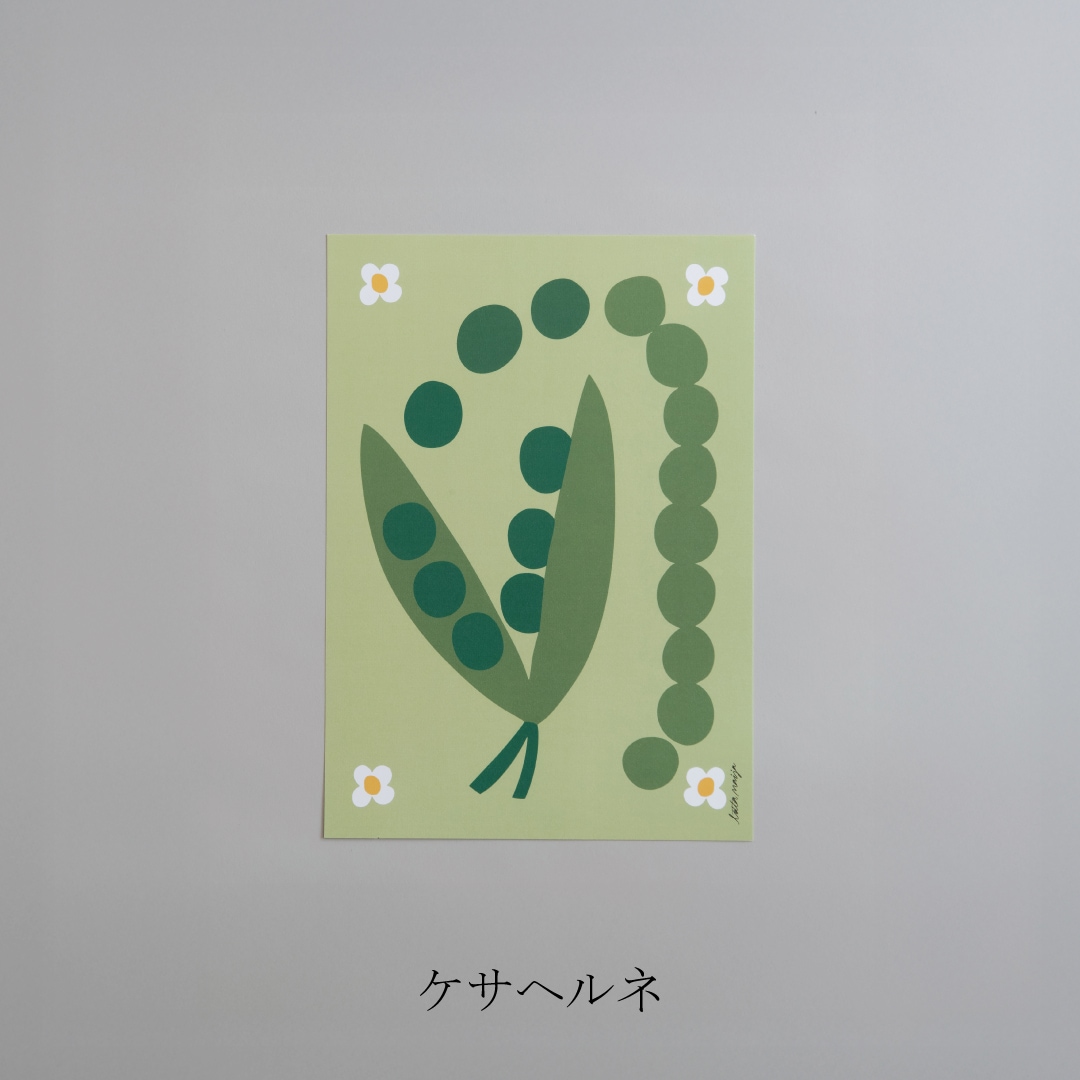 ポストカード（ロッタ・マイヤ／Lotta Maija）