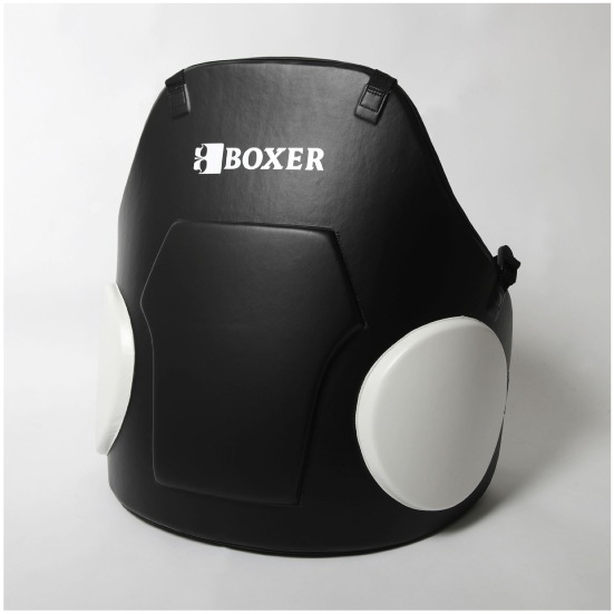 isami イサミ CBX-1 BOXER ボディプロテクター | isami（イサミ