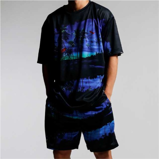15%OFF リバーサル reversal RESORT OVER SIZE DRY TEE