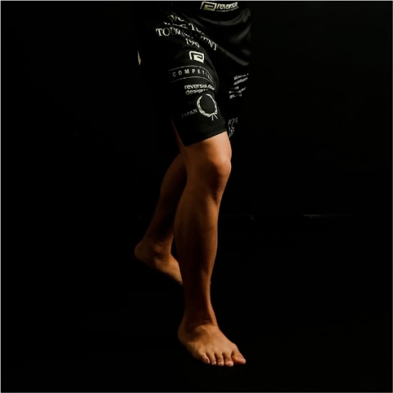 リバーサル reversal WVT FIGHT SHORTS （BASIC LENGTH / with