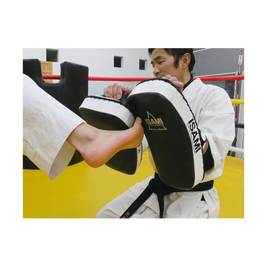 isami イサミ FS-12 キックミットTS isami イサミ FS-12 キックミットTS | isami（イサミ）,キックミット