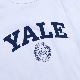 Champion/�����ԥ��� T1011 RADLAM L/S TEE YALE ����Tee