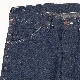 WORKERS/  CAT DAY Painter Pants