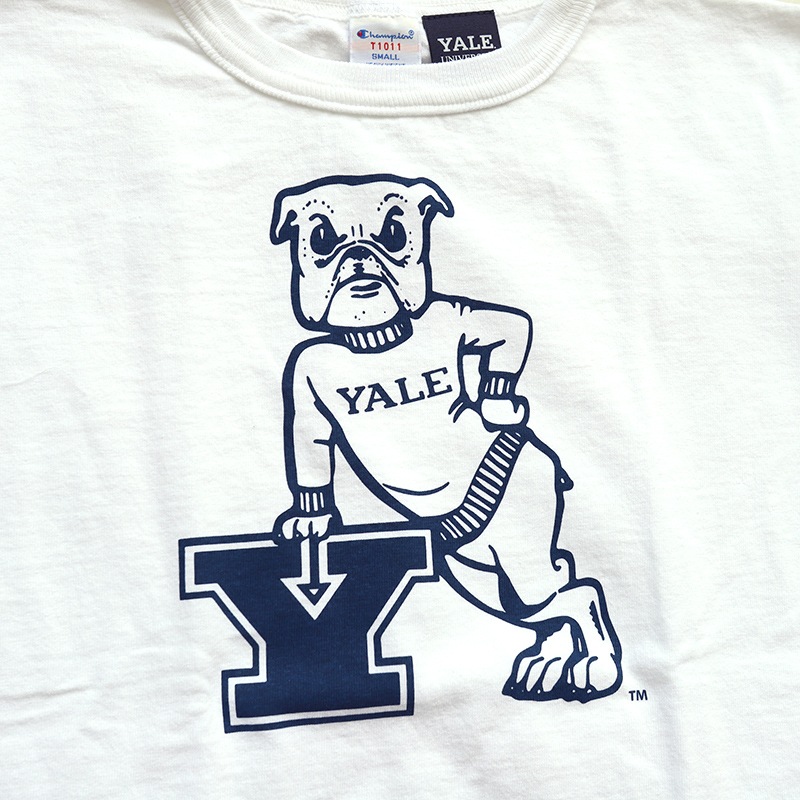 Champion(�����ԥ���) USA T����� T1011(�ƥ����ƥ󥤥�֥�) HANDSOME DAM