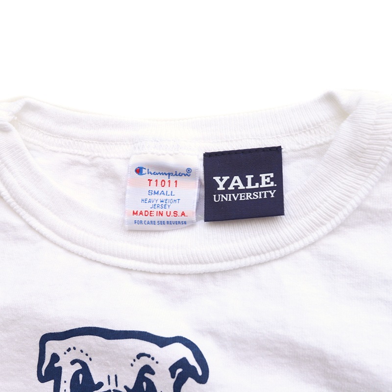 Champion(�����ԥ���) USA T����� T1011(�ƥ����ƥ󥤥�֥�) HANDSOME DAM