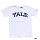 Champion/�����ԥ��� T1011 YALE print