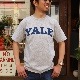 Champion/�����ԥ��� T1011 YALE print