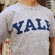 Champion/�����ԥ��� T1011 YALE print