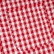 WORKERS/ Modified BD, Red Gingham Poplin