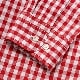 WORKERS/ Modified BD, Red Gingham Poplin