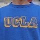 Champion/�����ԥ��� T1011 UCLA