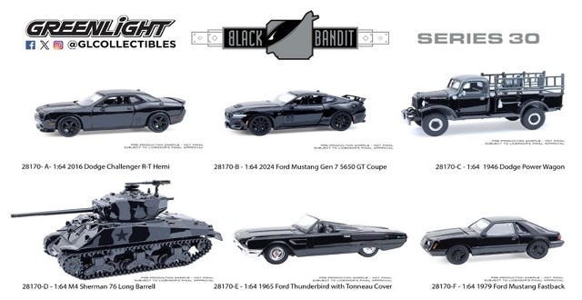 新品 28170 GreenLight 1/64 Black Bandit Series 30 ※6個入り, Boost