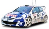 ͽ�� 3863 ���󥹥��� 1/18 �ץ��硼 206 WRC 1999ǯ ��꡼������ 2�� #15 G. Panizzi / H. Panizzi ����999pcs