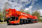 ͽ�� 51-2199 WSI 1/50   Peinemann �꡼�ץإ� LTM 1650-8.1