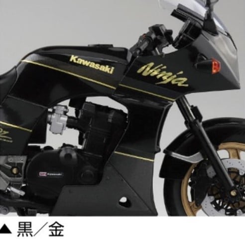 予約 スカイネット カワサキ KAWASAKI GPZ900R 黒/金 , Boost