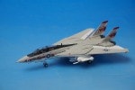 1/200 F-14A ꥫ 裱Ʈ եѥå ĹCO˵ 쥨󥿡ץ饤 70ǯ[6610] ۡ/