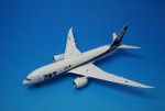 1/200 B787-8 ANA 787���� JA804A [XX2889] JC�����󥰥�/���