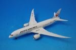 1/400 B787-8 JAL ��������� JA824J [A13030] ���ݥ���ǥ�/���