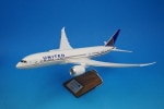 1/144 B787-8 ��ʥ��ƥå� N20904 �ѥå��ߥ�/���