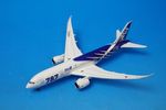 1/500 B787-8 ANA SpecialMarking �������Ի��� JA802A [NH50072] ����������/���