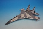 1/72 SU-30MK ����ɥͥ������� 11th Sq 2016 ��JCW-72-SU30-007�� JC�����󥰥�/���