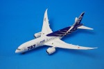 1/500 B787-8 ANA SpecialMarking  JA801A [NH50075] /