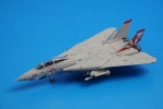 1/200 F-14A ꥫ VF-111 ʡ 6580] ۡ/