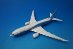 1/200 B787-8 �ܡ����� �ϥ������顼 �����Ͼ���� N787BA ��20026�� �ե��˥å���/���