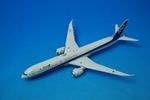 1/400 B787-10 ANA JA902A ��56017�� NG��ǥ�/���