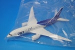 1/400 B787 ANA SpecialMarking ���쥸����Ϳ�ʤ� ��X000GXIO0J�� TANG DYNASTY/���