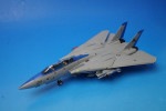 1/72 F-14D �ȥ७��å� ����ꥫ���� VF-213 �֥�å��饤���� ��WTW-72-009-005] Sky guardians/���