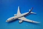 1/200 B787-8 ANA �ɥ꡼��饤�ʡ� ���쥸����Ϳ�ʤ� [NH20028] ����������/���