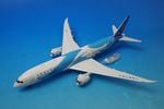 1/200 B787-9 ���㥤�ʥ����� ������� B-1242 ��IF789CZ001�� ����ե饤��/���