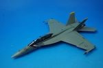 1/72 F/A-18F��ʣ�·��� ����ꥫ���� ��2��Ʈ���������� �Х���ƥ����ϥ󥿡��� ���쥨���֥�ϥࡦ��󥫡������ NE100/#165916 ��HA5122�� �ۥӡ��ޥ�����/���