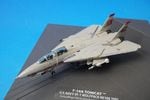 1/144 F-14A ����ꥫ���� ��1��Ʈ������ ����եѥå� NE100 ��001629�� CENTURY WINGS/���