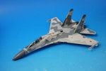 1/72 ���ۡ��� Su-30KN��ʣ�·��˥��������� ���女���ե��������� #302 ��WTW-72-030-005] Witty ��ings/���